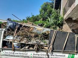 Best Recycling Services for Junk  in North Plainfield, NJ